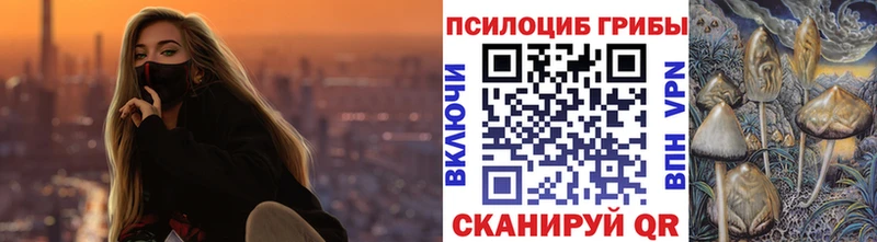 Галлюциногенные грибы прущие грибы  где можно купить   Полярные Зори 