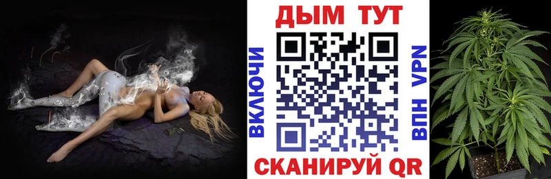 дарнет шоп  МЕГА вход  Бошки Шишки White Widow  Полярные Зори 